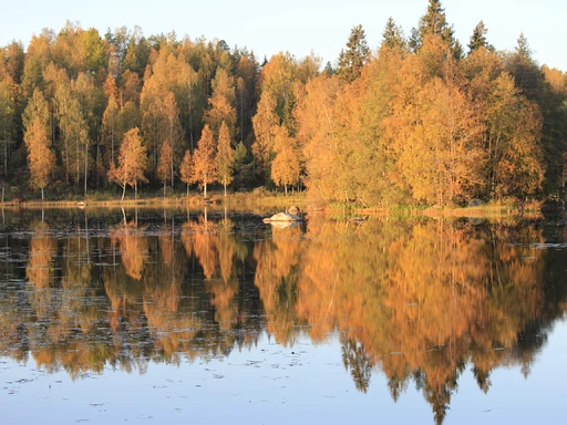 Nu ser jag fram emot hösten!